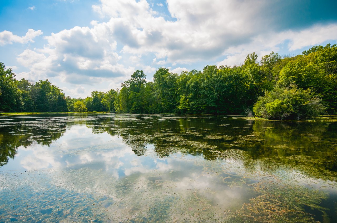 Eagle-Creek