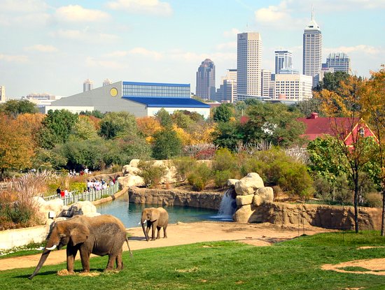 indianapolis-zoo